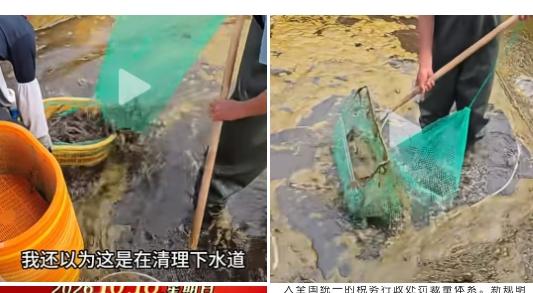 你不把便宜的死水湾子里养殖的鱼虾价格拿来比较海捕的鱼虾价格