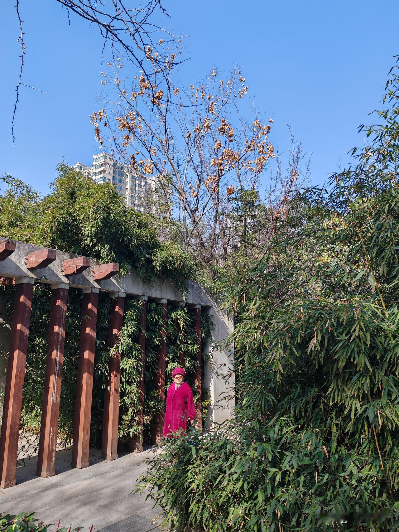 西安的冬天是不是就要过去了？
     今天天气不错，阳光明媚，温暖如春。入冬以