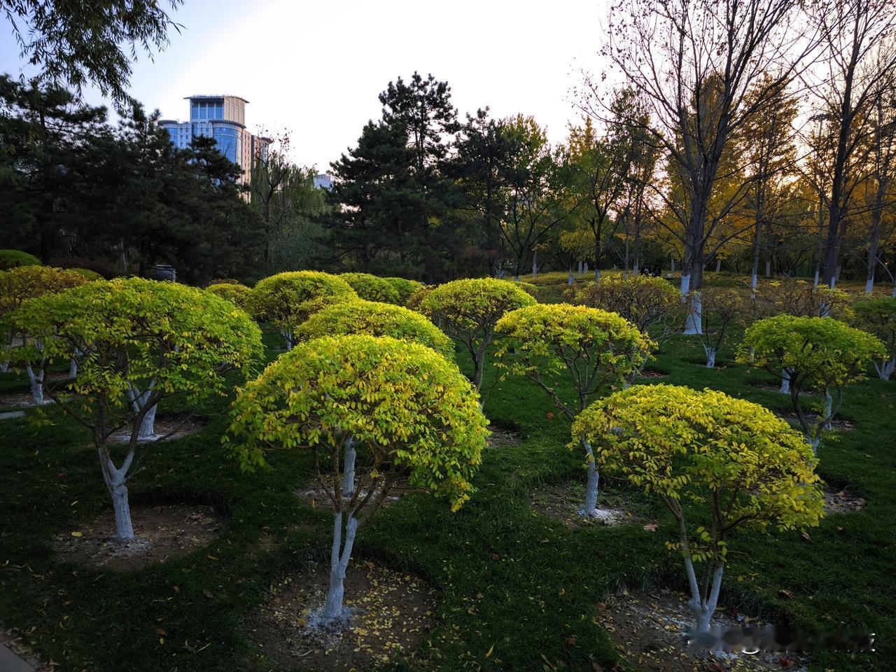 #一路山色，随手拍一张风景照#