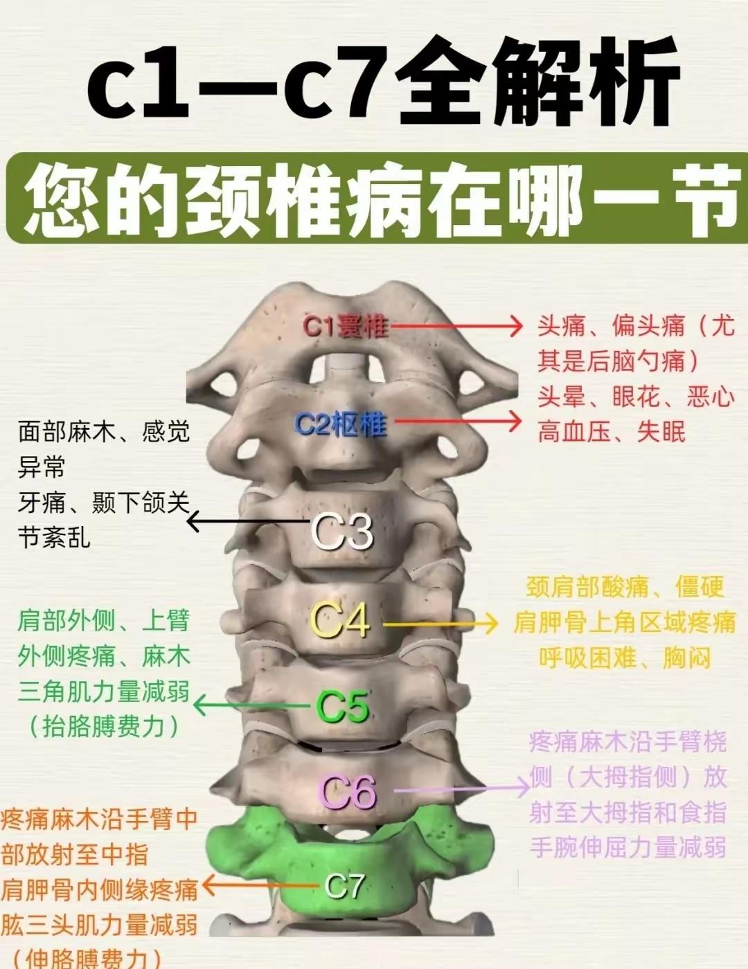 年纪大了，这几年被浑身疼痛缠了好久，也曾崩溃到痛不欲生。
后来慢慢想通了：疼又能