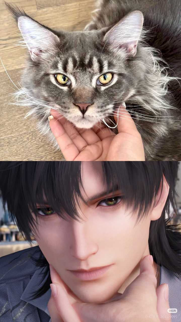 黎深 猫猫五条悟 被当皮套的一生 