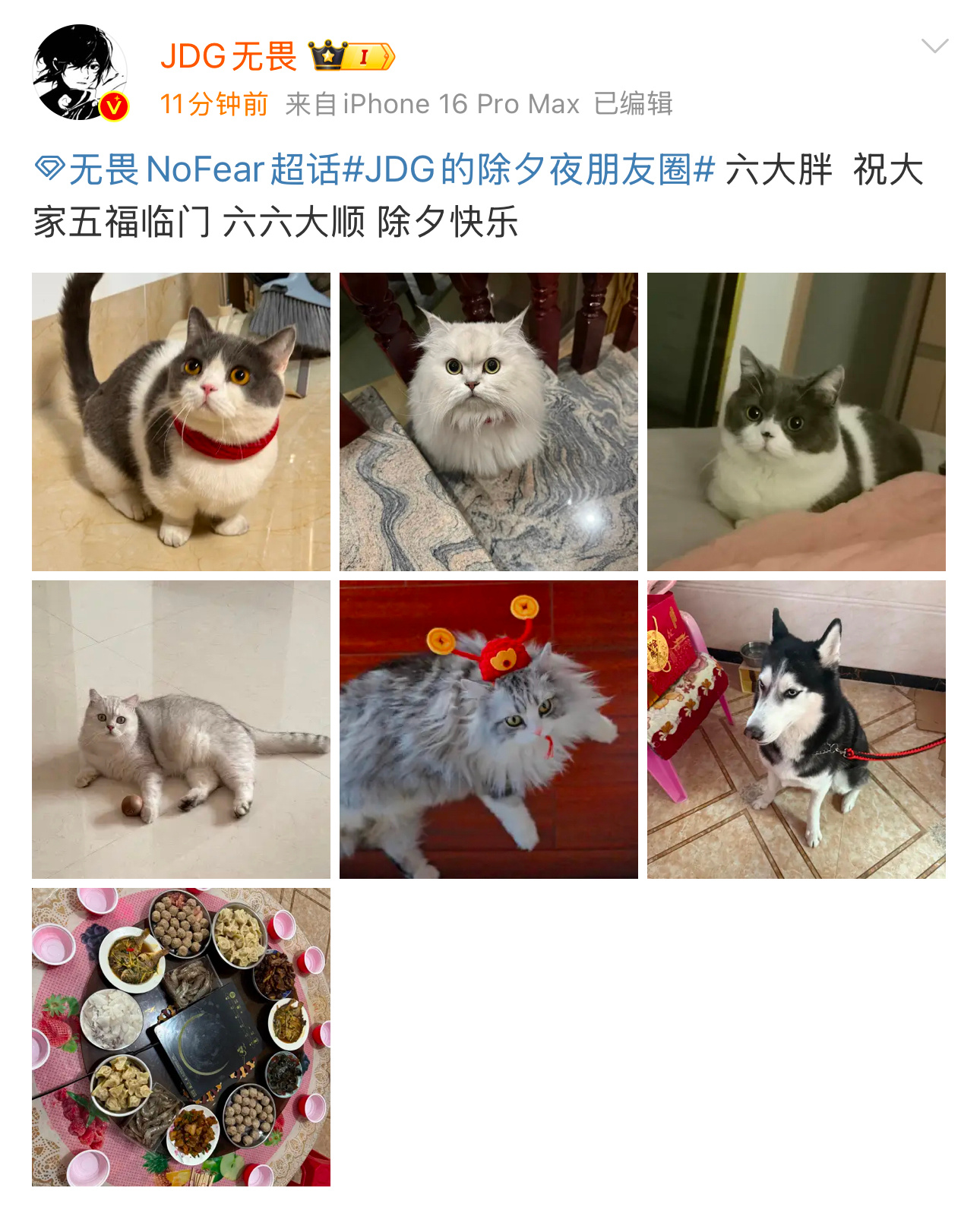 属于的猫猫狗狗～杨🍑新的一年也要顺风顺水顺财神呀～ 