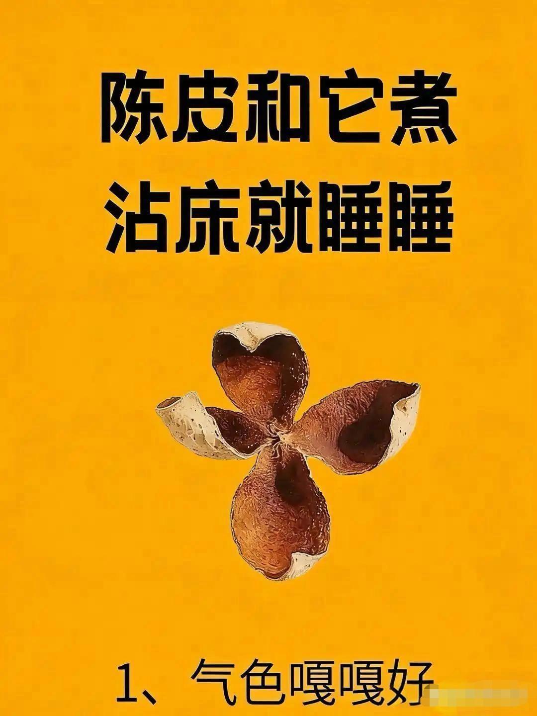 陈皮不仅是厨房里的香料，更是药罐中的良伴。它有理气健脾、燥湿化痰之功，能温和化解