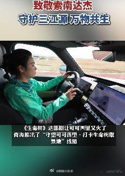 风过青海生命树，情系新疆老战友。湖北姑娘千里西行，既赴电视剧取景地致敬索南达杰，