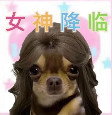 精神不正常的话～就来点表情包吧 