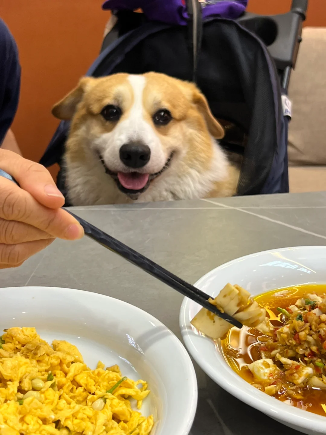 猜猜看是弟弟还是妹妹