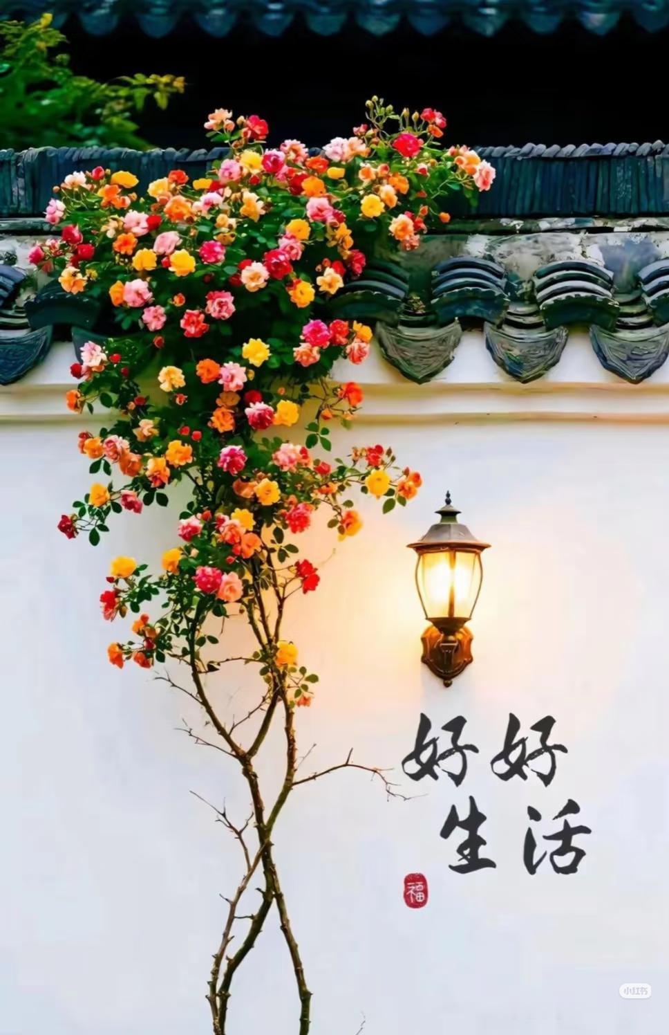 每个人都有自己的南墙，撞了，才知道路该怎么走，南墙是成长的必经之路，不撞一撞，怎