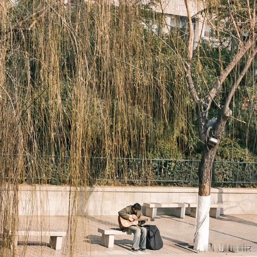 又到了大雪时节，今天济南气温5-16℃，济南的初雪终究是又迟了。

俗语说：“大