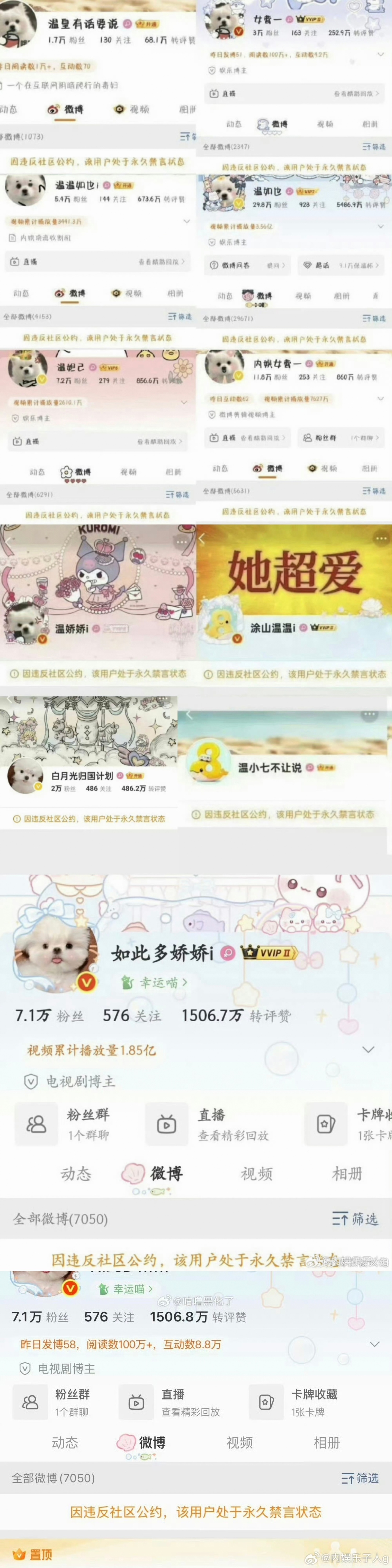 温如也，內娱永禁一外昊：狡兔三窟，打不丝的小强战绩可查 