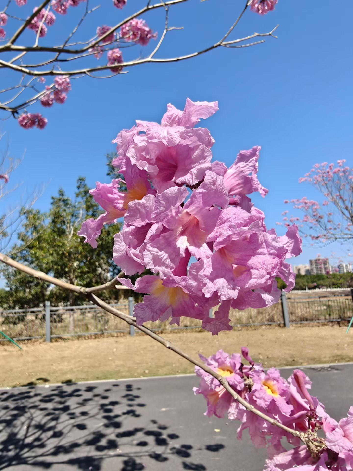 微博年度待改编ip评选pick你心中的改编潜力王 心之所安，便是吾乡入秋后的夜晚