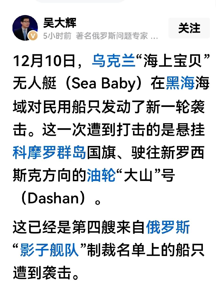 乌克兰又袭击了一艘影子船队的运油轮`大山'号。

吴大灰专家的表述是，乌克兰在黑