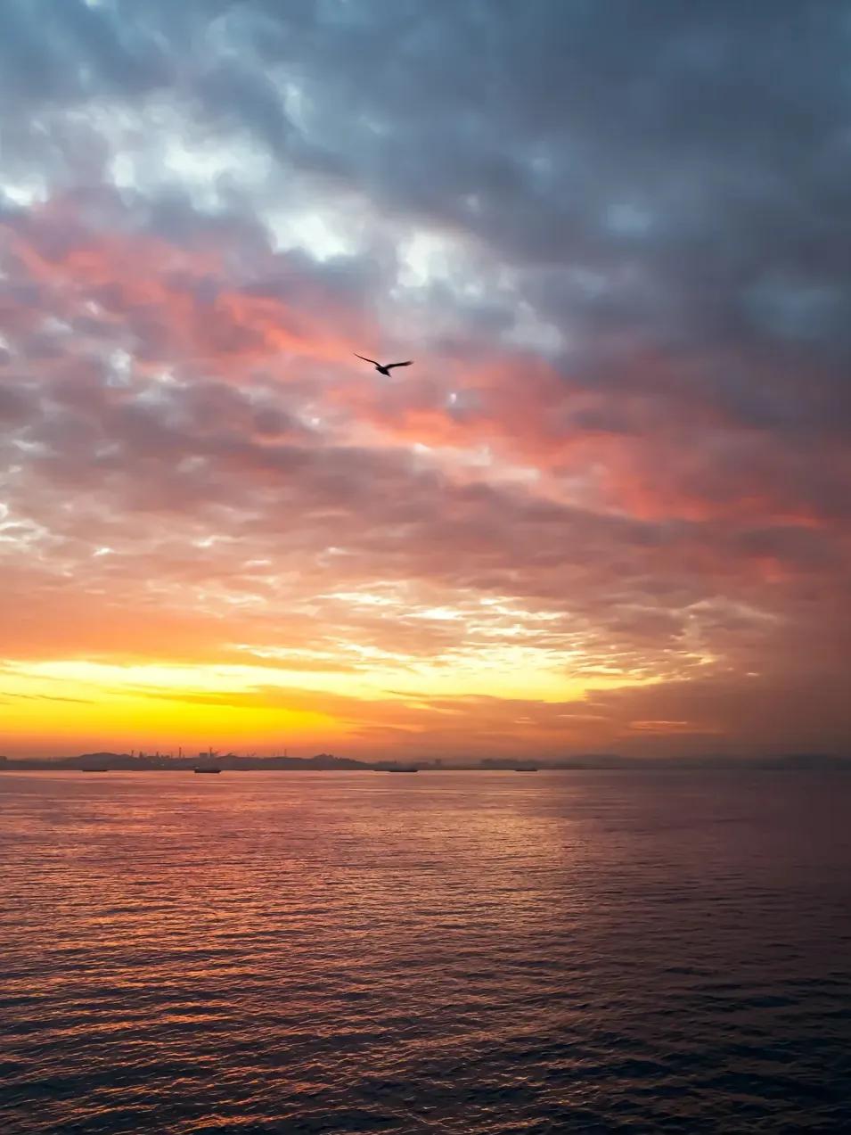 夕阳西下，海鸥翱翔，静谧的海面映照着绚丽的晚霞。#晚霞日落大海# #夕阳西下海更