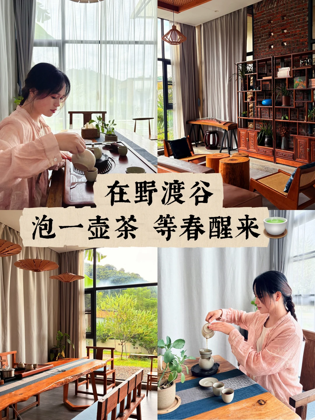 藏在清远山野里的茶室🍵这也太治愈了吧！