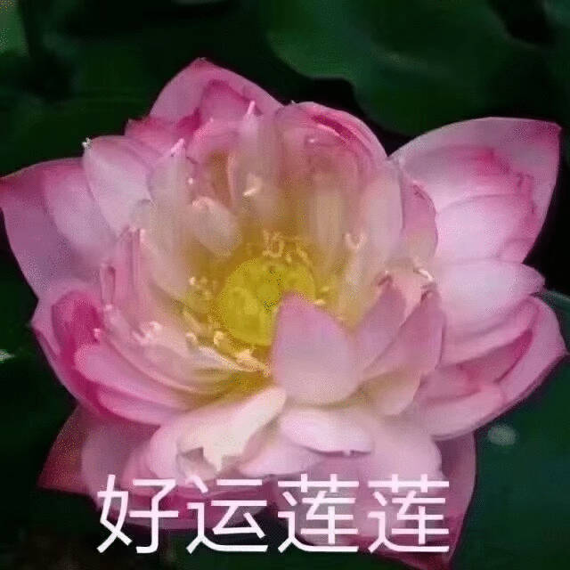水逆退散 