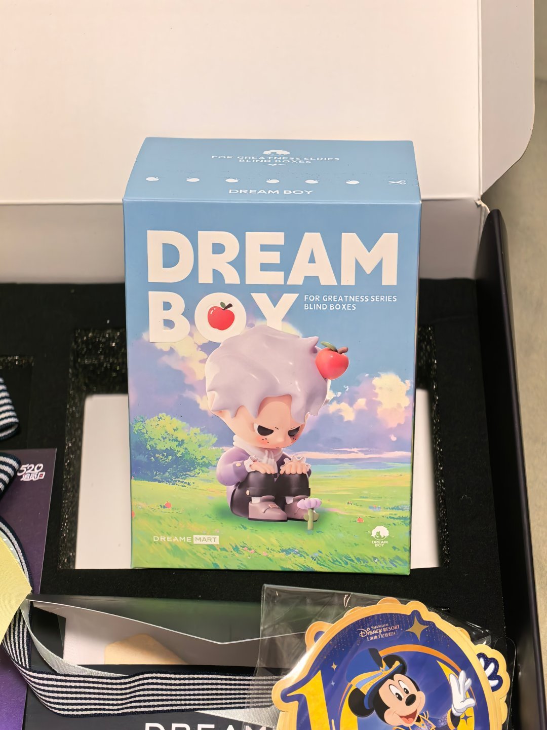 做世界的小孩，明天上海迪斯尼见追觅 上海迪斯尼乐园