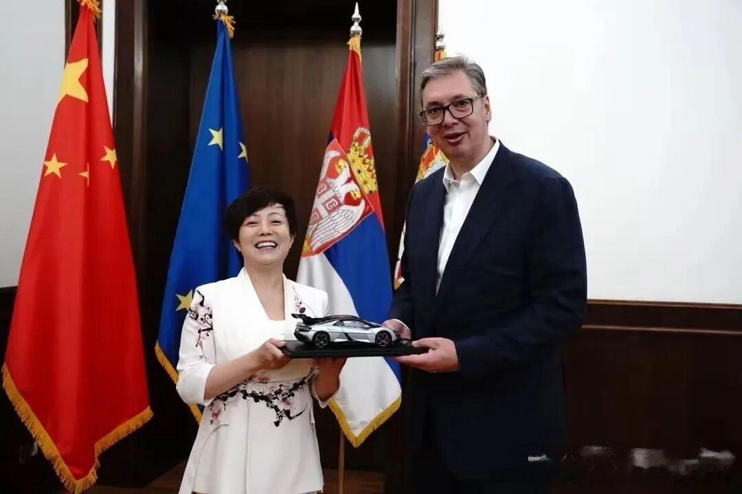 武契奇会见比亚迪李柯 6月19日，塞尔维亚总统武契奇在贝尔格莱德会见比亚迪执行副