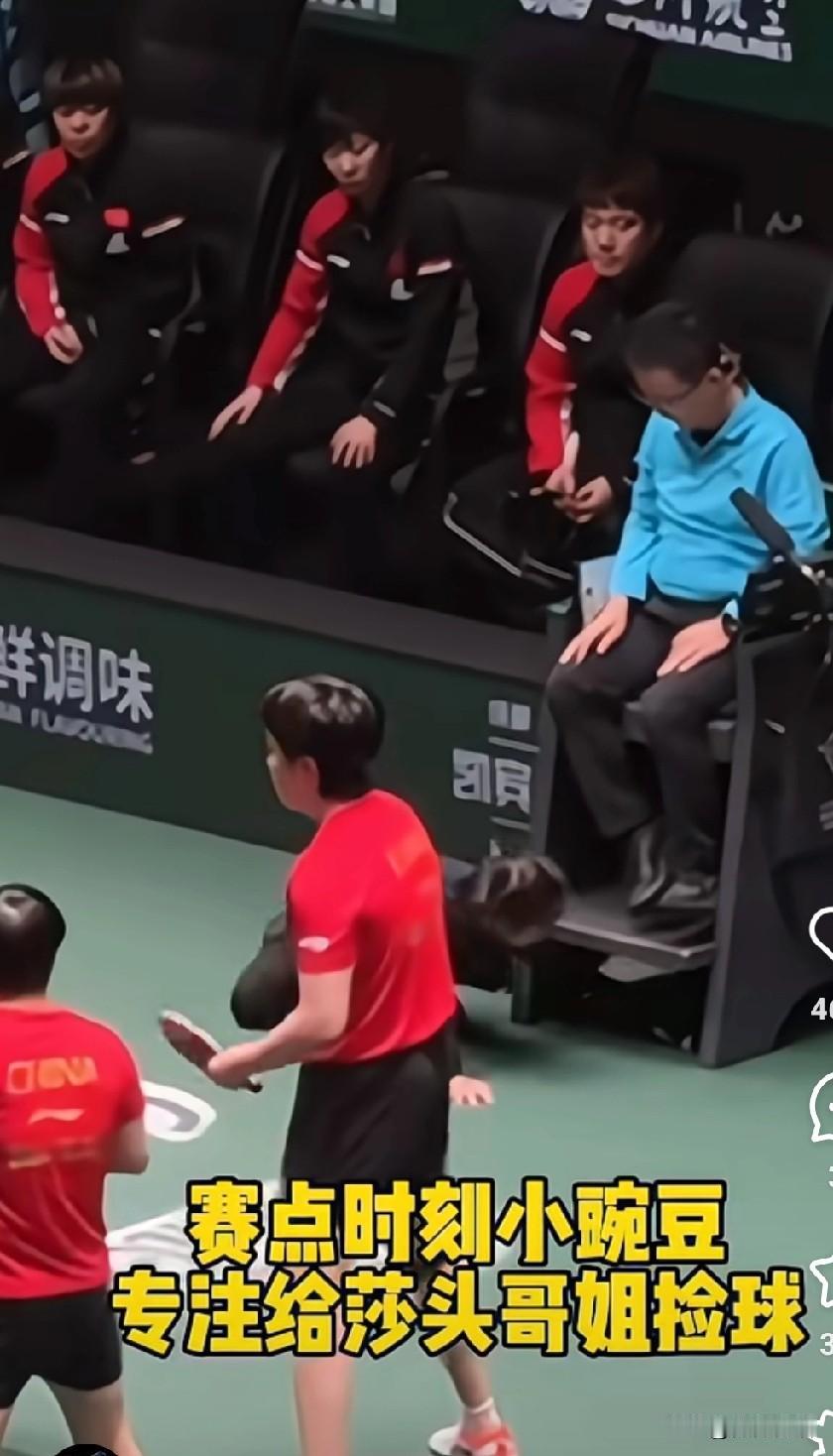 小豌豆今天又上班捡球了。
今天上午成都混团半决赛，中国队是8-3韩国队，孙颖莎/