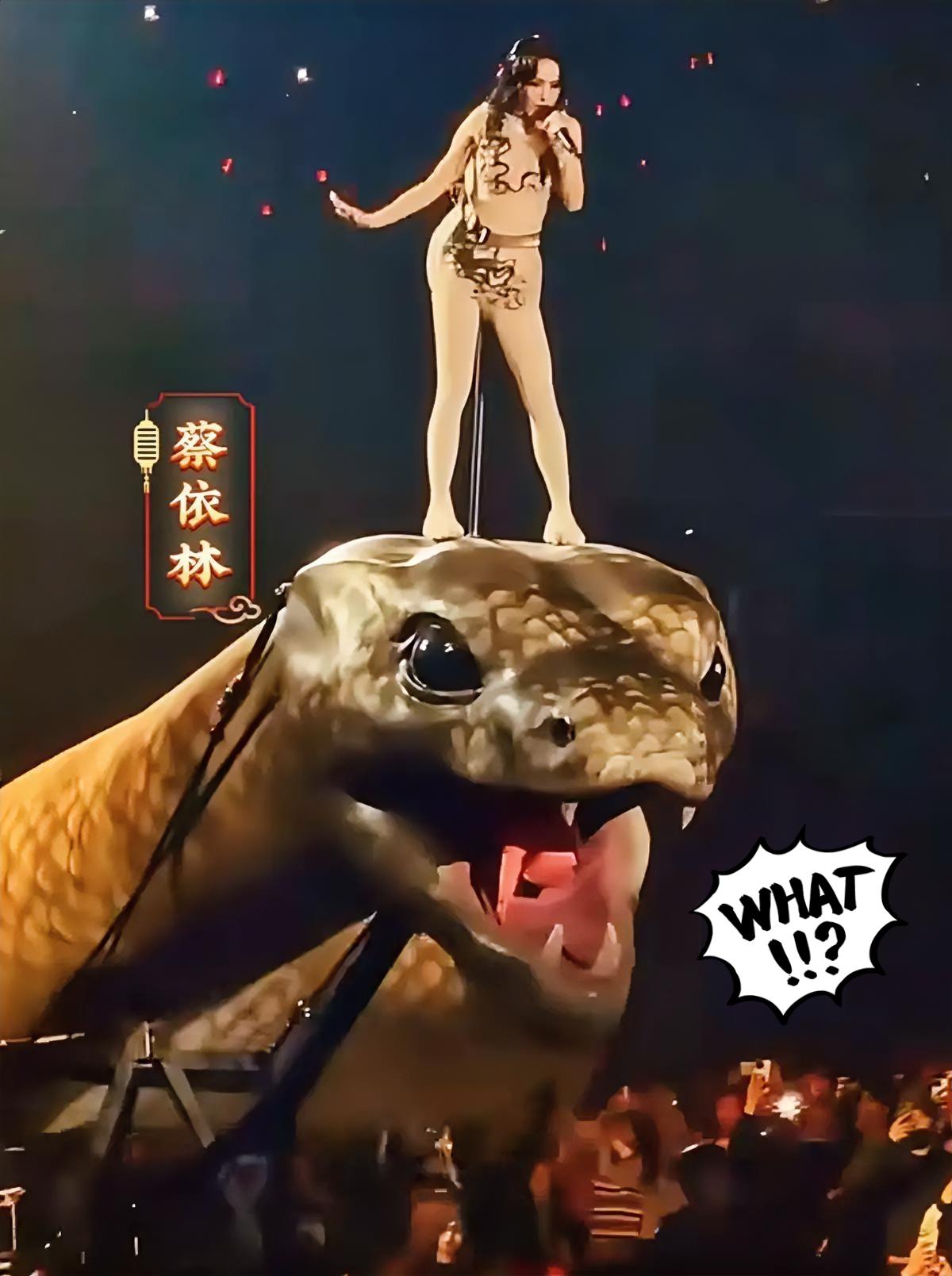 闺蜜去趟演唱会，

居然还能看出“工伤”来了？

就是蔡依林那个巡演，她回来后整