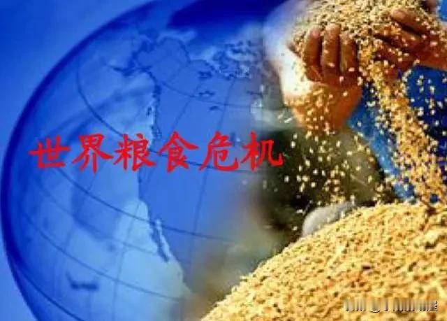 刘振起：世界粮食安全风险
根据联合国及多家国际金融机构的最新报告，全球粮食安全正