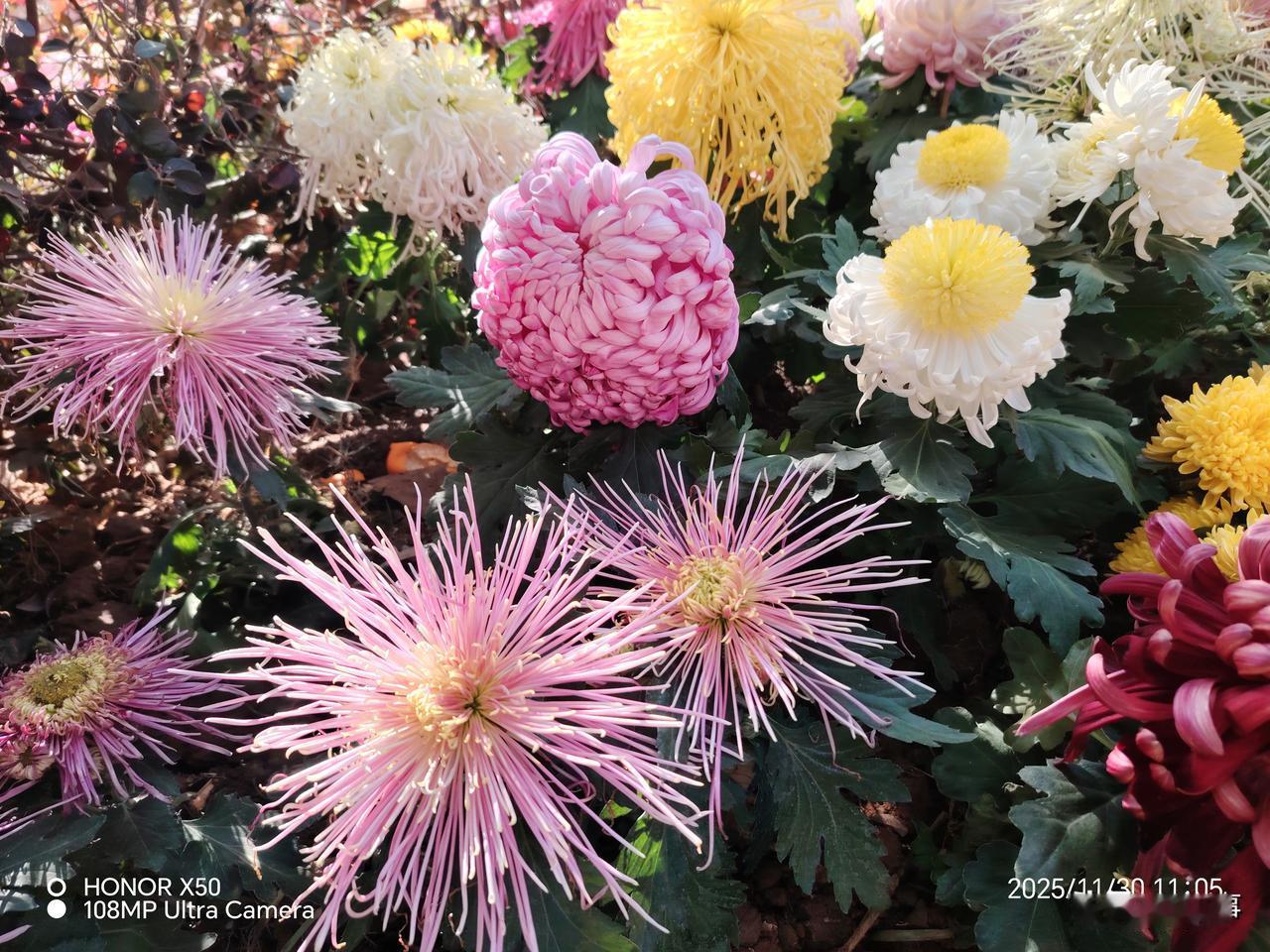 2026年，身体健康，万事如意心想事成，心情愉悦无忧无虑的生活快乐每一天，幸福到