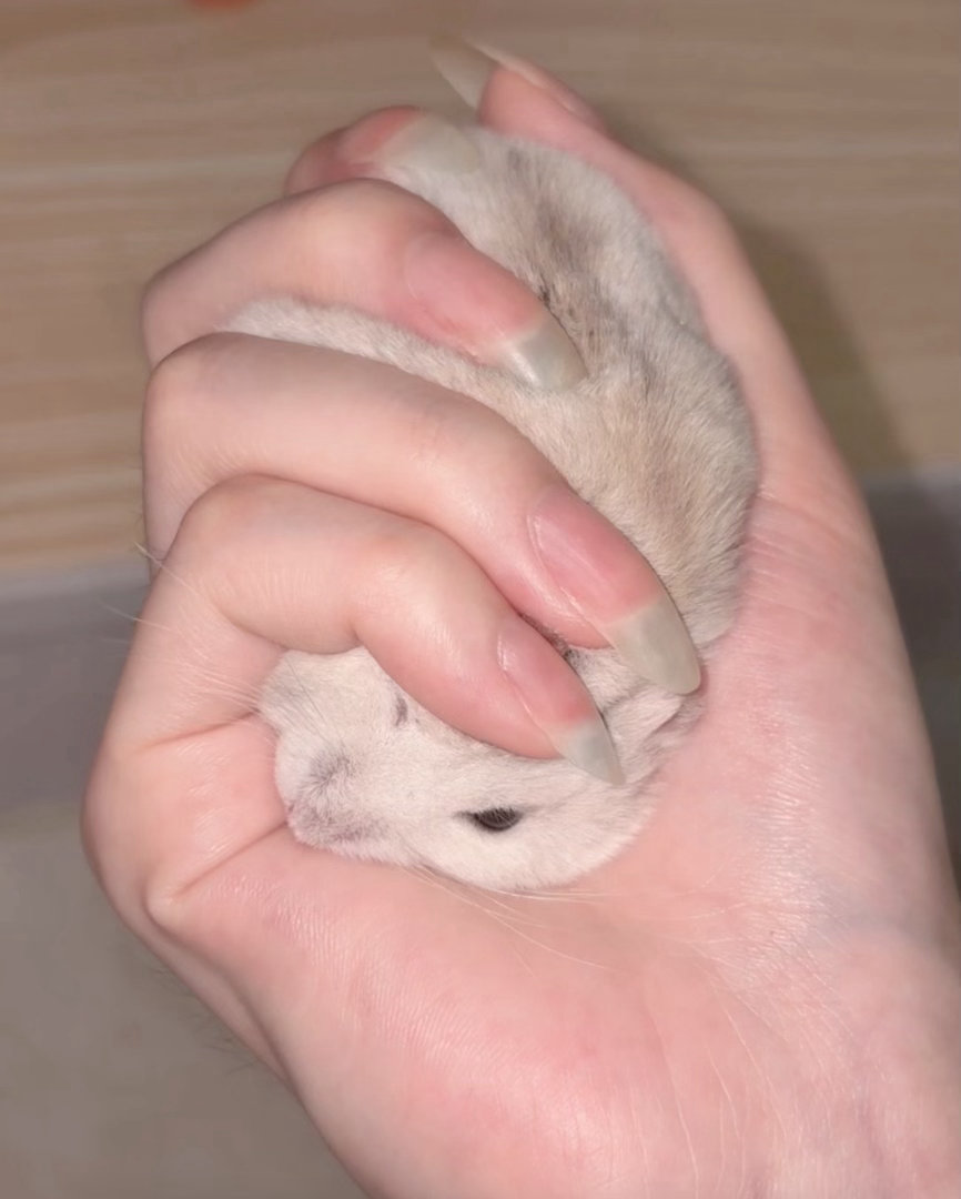 脸都扁了 ​​​