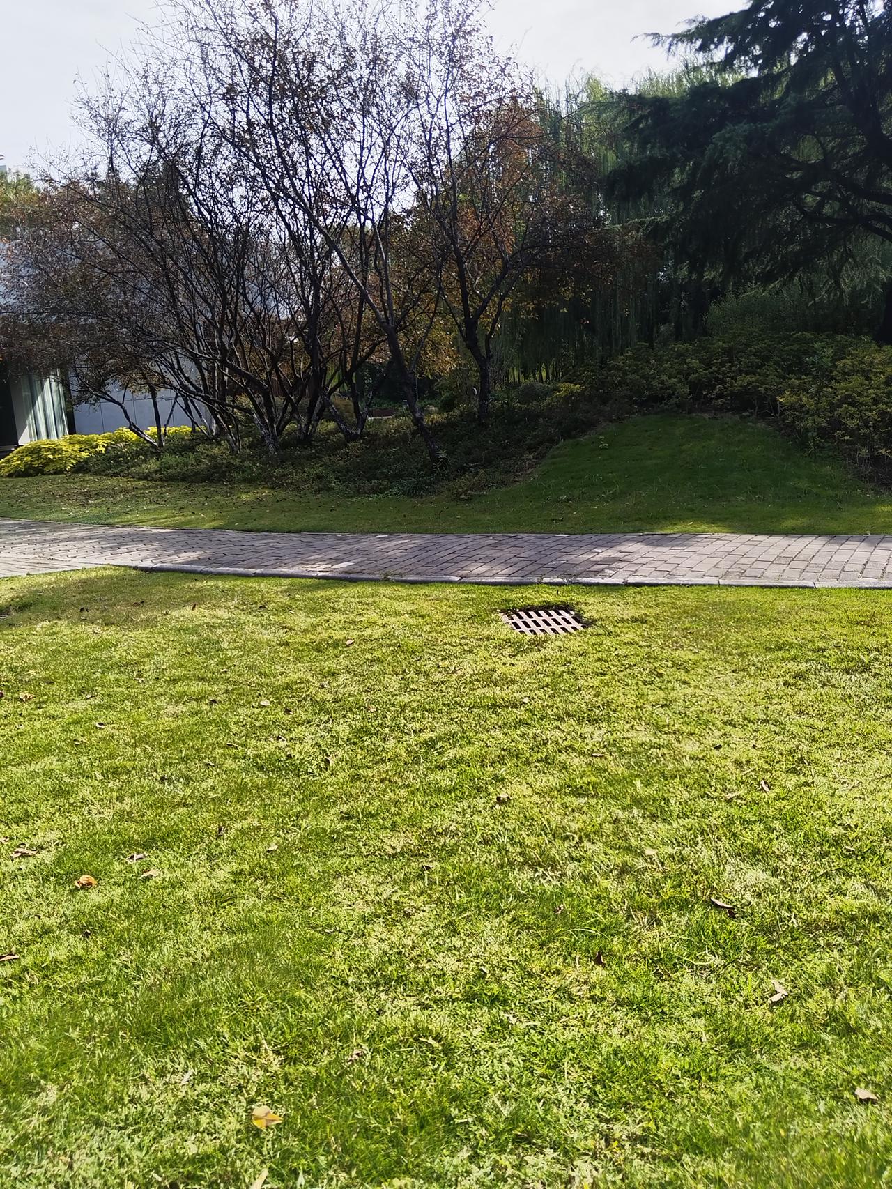 今天适合晒太阳
暖暖和和的，可舒服
躺在草坪上，可美，今天的风不大
虽然季节已经