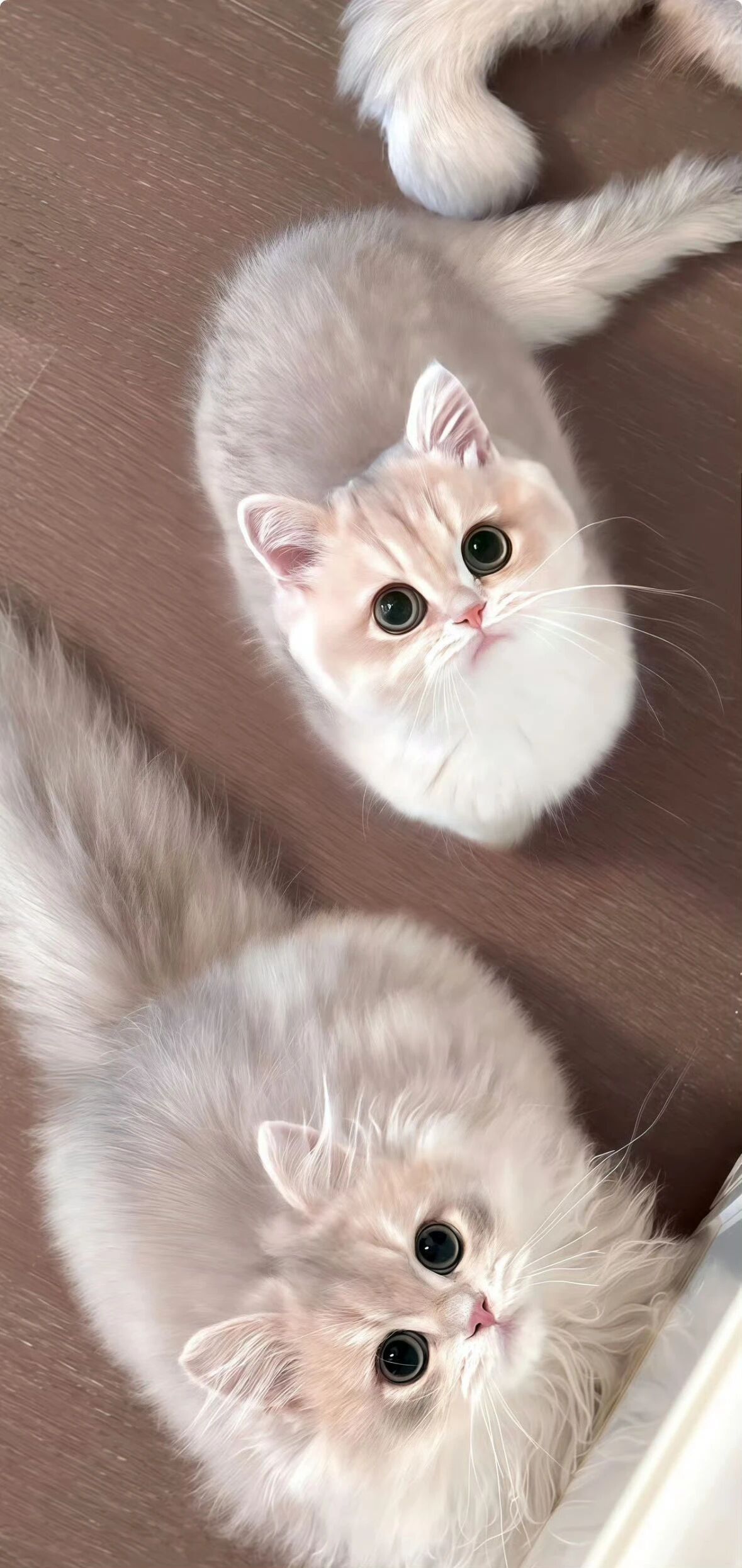 GPT认为它自己是猫咪可爱的猫咪，谁能忍得住不摸摸呢！“我们需要的不是一个更聪明