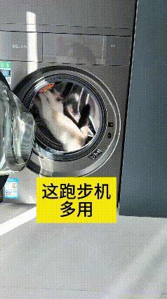我反反复复看了好几遍这个视频，家里的小猫特别喜欢钻进滚筒洗衣机里来回跑动。这时候