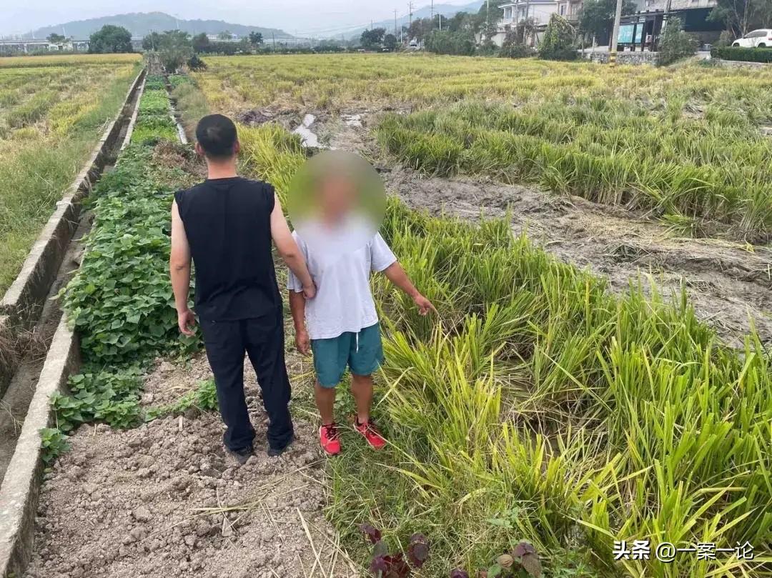 浙江宁波，一名男子夜里路过农田，看到田里的熟水稻没人收割，他寻思反正庄稼放着也没