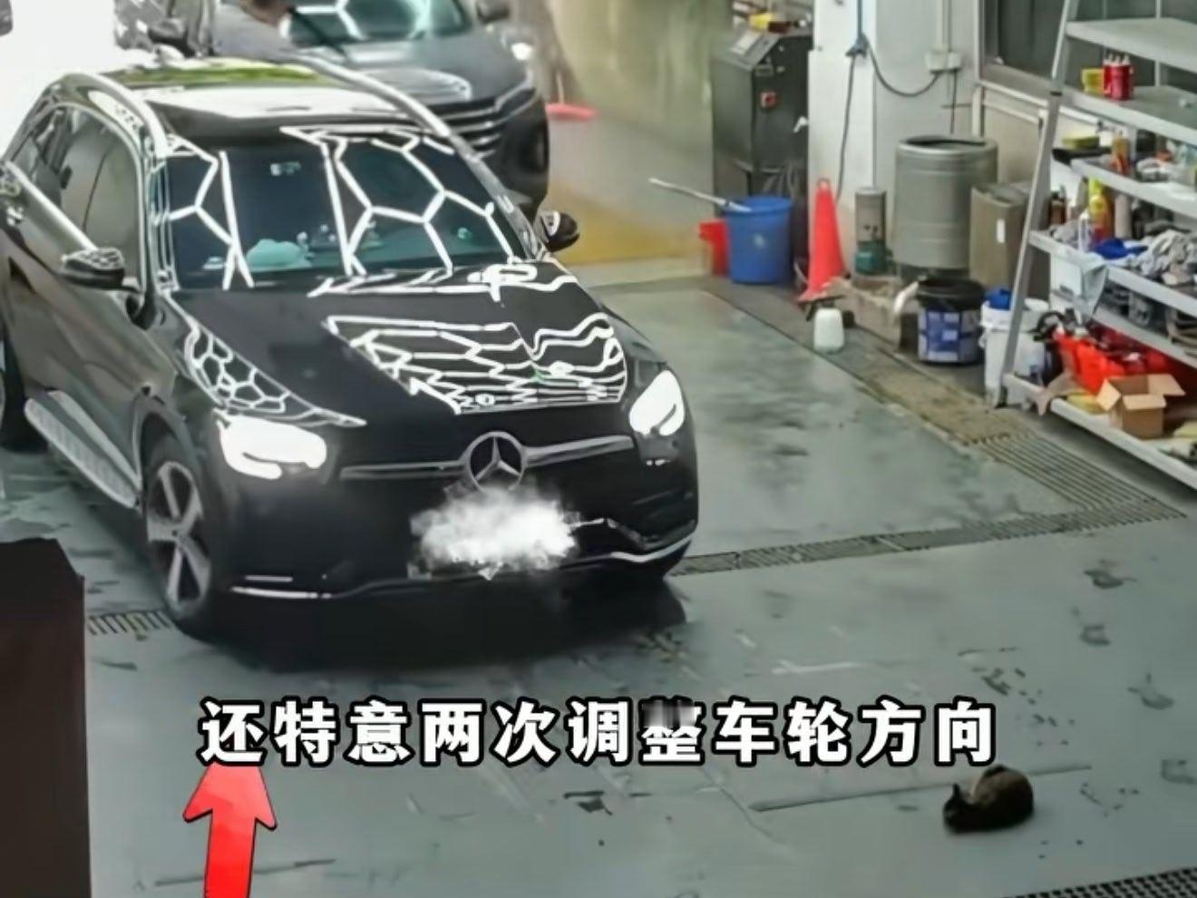 一只刚生完孩子的母猫，在洗车店晒太阳，碍着谁了？更讽刺的是，故意碾死一条命，最后