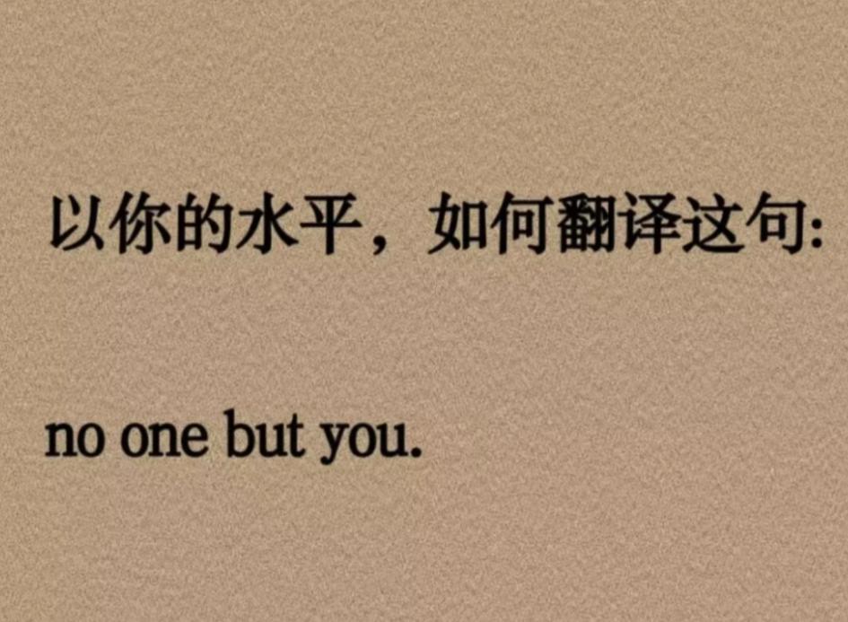 以你的文采和英语水平，会如何翻译这句话：no one but you.