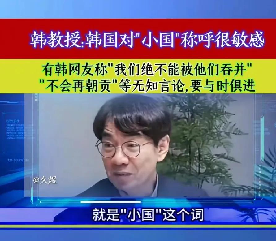 韩国教授：韩国人对被称为“小国”很敏感，但是韩国人自己要走出这个心结。

这个教