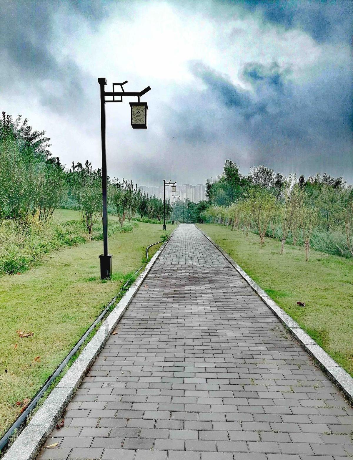 老了，谁陪你唠嗑？
不是保姆，不是视频通话，是那个跟你一起熬过几十年、知道你怕黑