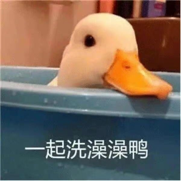 鹅毛在鹅身上和我身上到底差在哪 别人鹅是天生的，只是在我这，是隔着各种生产工序以