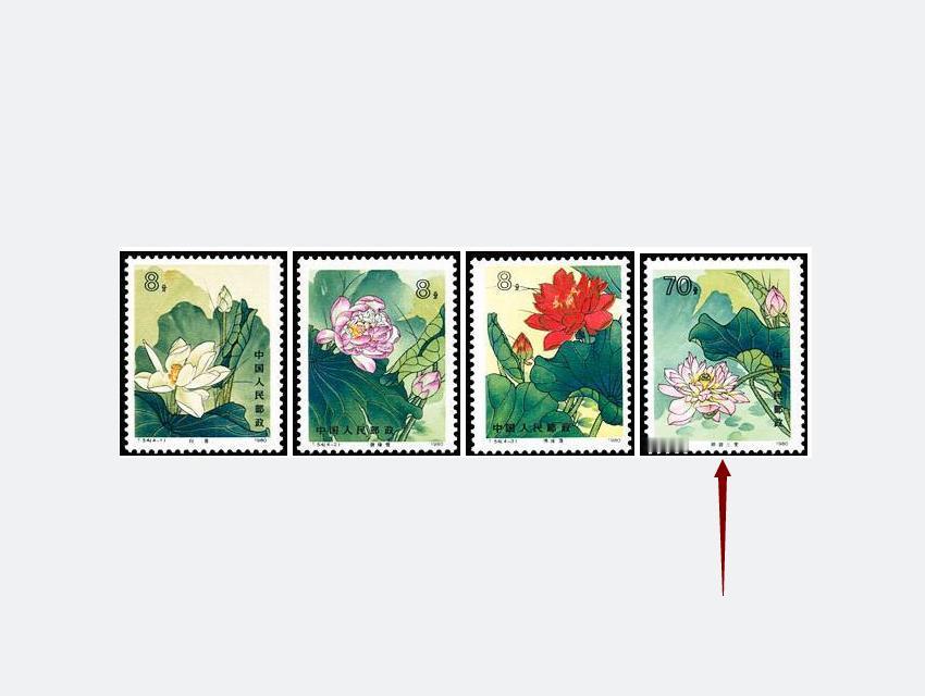 图解JT邮票最新“筋票”，每期三组，与您共享。
T54《荷花特种邮票》
（1）8