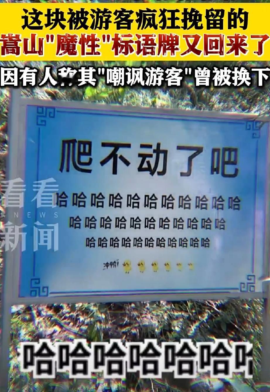 【听劝！嵩山33个哈字标语牌回来了】“爬不动了吧哈哈哈哈哈……”河南嵩山一块“魔