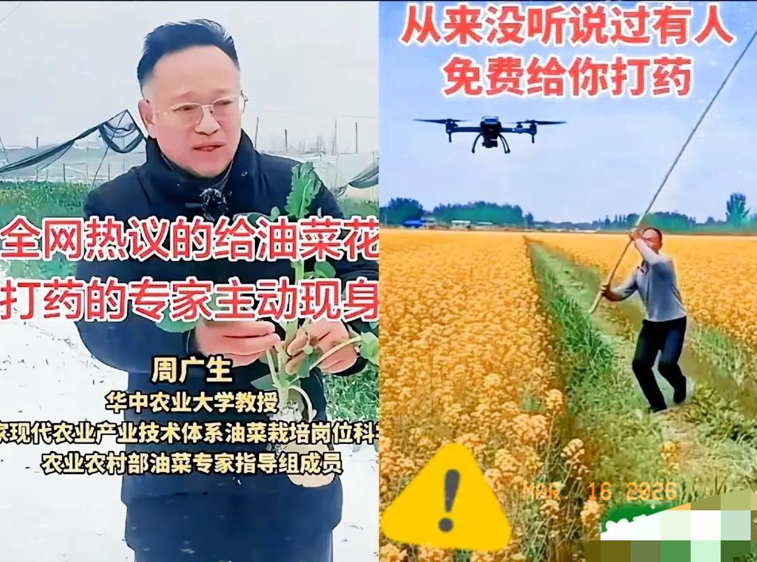 今天看到个让人两眼一黑的奇葩建议。
​提议给油菜花大面积猛灌农药的那个专家，这回