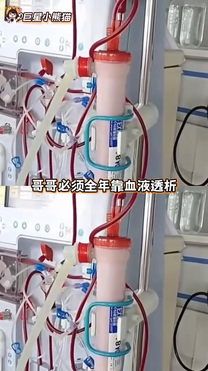 命运的选择题：11分钟的分离。
巨星小熊猫。
他一辈子都在赶时间，最后却败给了1