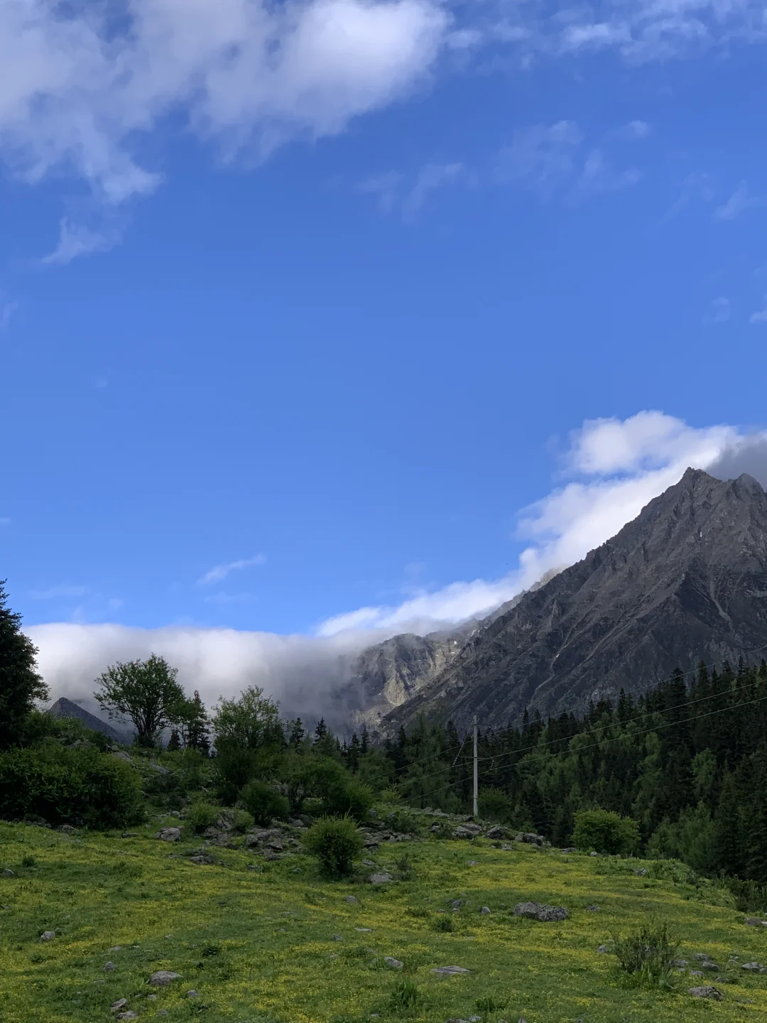 出行｜进山呼吸新鲜空气🍃