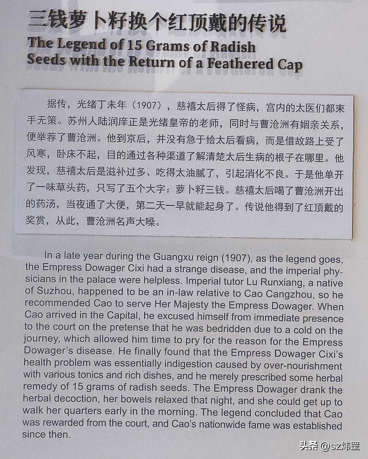 （原创）三钱莱菔子
苏州自古医家云集，形成独树一帜吴门医派，历代名医超千人，涵盖