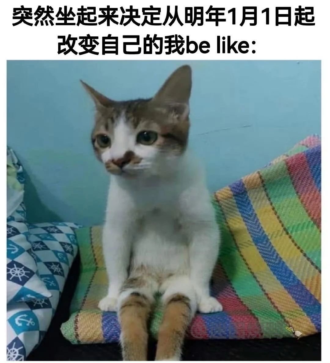 凑个整 