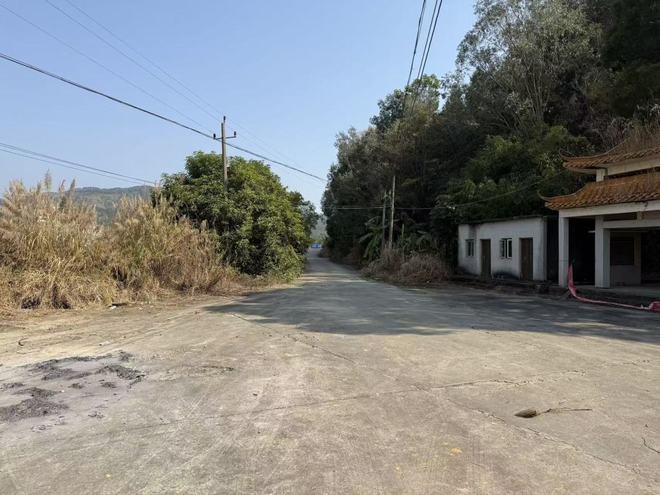 “冤不冤？”广东揭阳，因山地权属纠纷，上百名村民持械闯入林场“讨说法”，老板与员