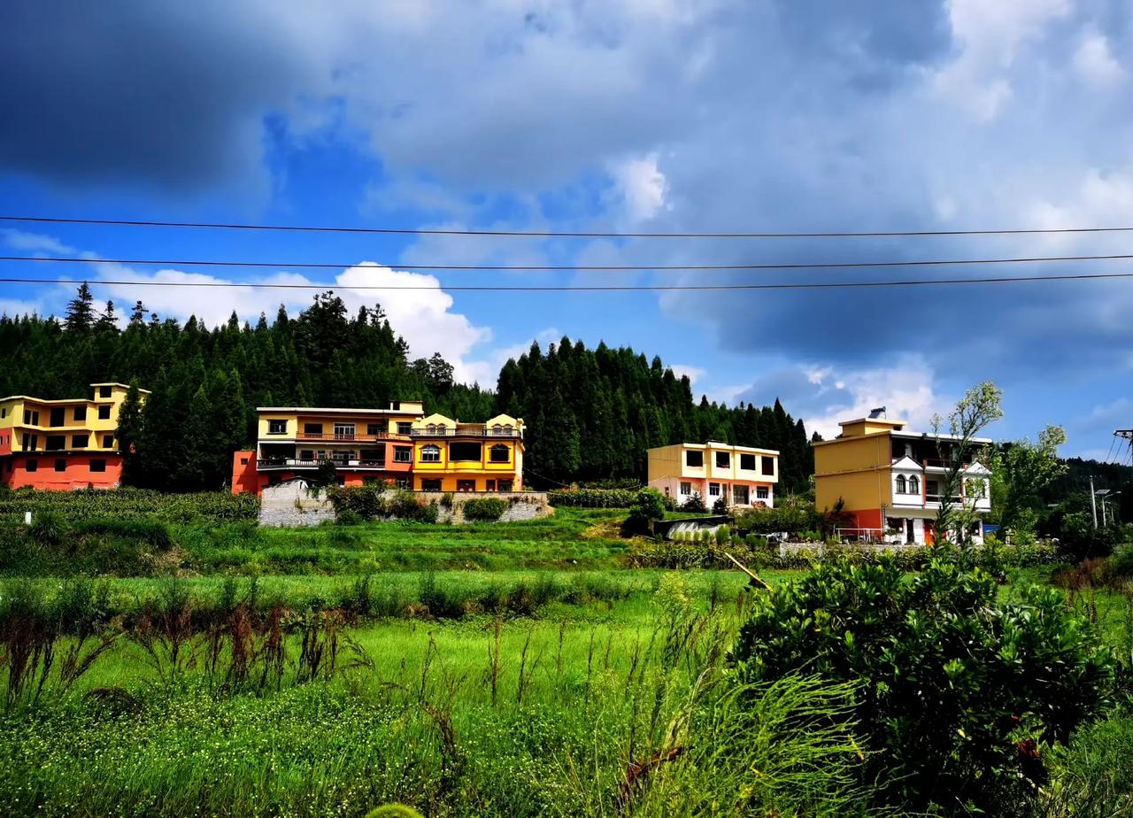 村里陈某的父亲意外身亡，唯一留给他的一套房子引起了纠纷！他的两个叔叔说这套房子他