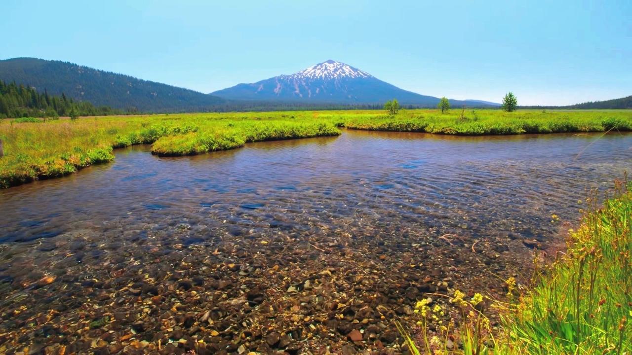 山林采菌子的快乐谁懂啊！今天采蘑菇迟到了，好在运气没让人失望。手指方向藏着一朵超