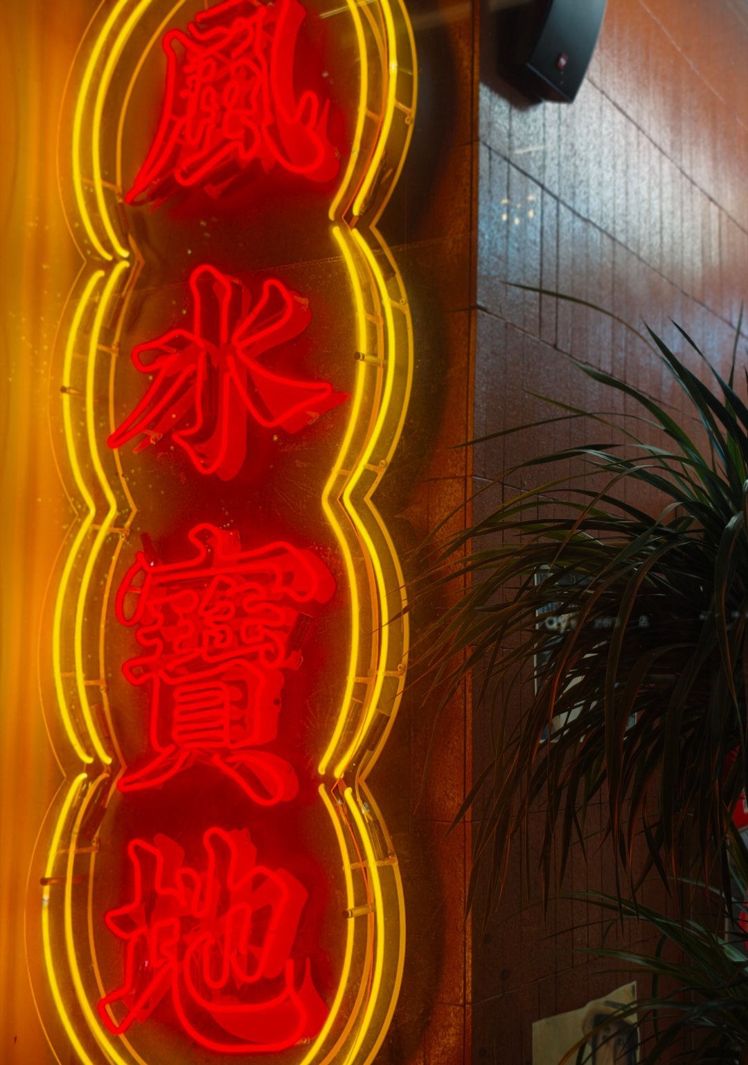 分享图片 