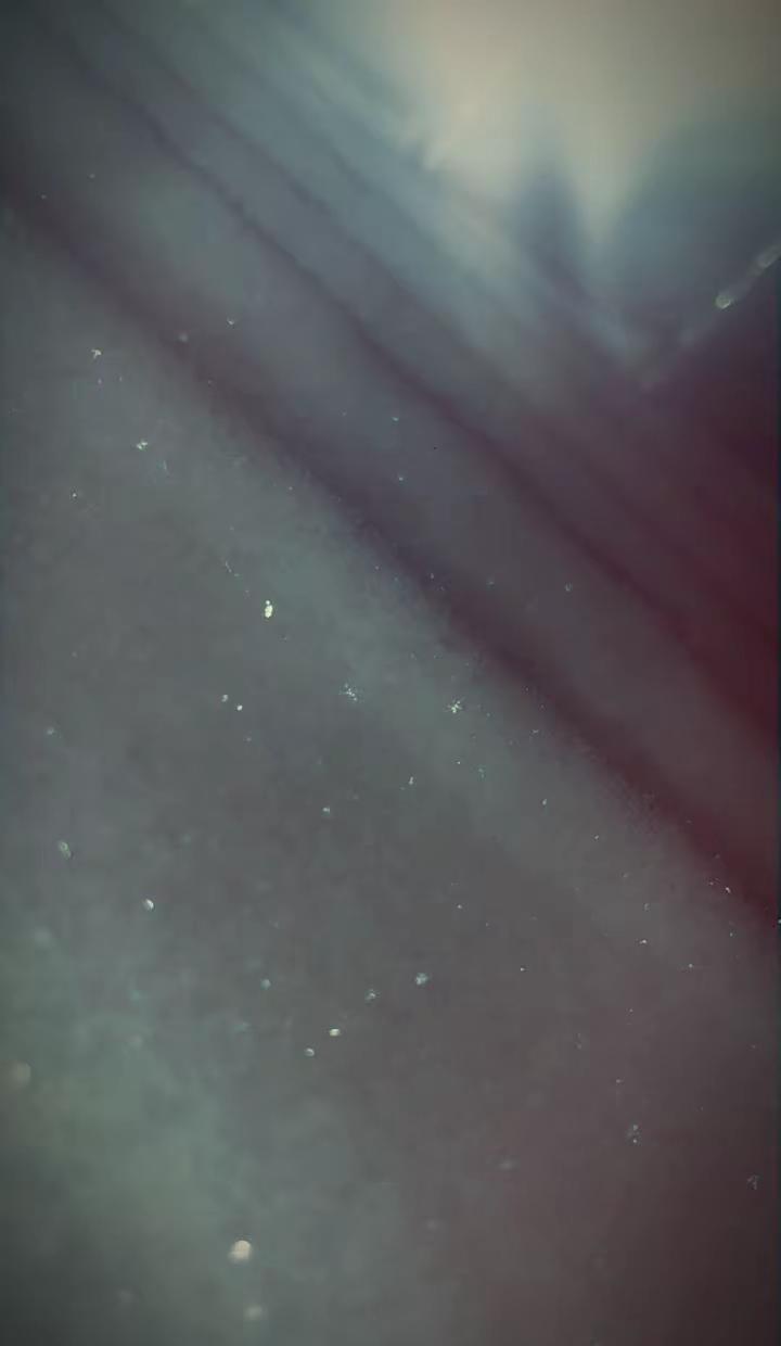 今天晚上的雪也太太太太太太太太太太太太太太太太太太太大了吧🥶