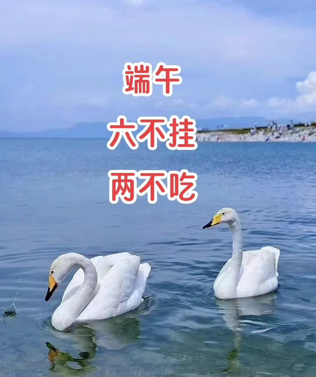 4！当八强全员盯着赵心童，却杀出黑马吴宜泽