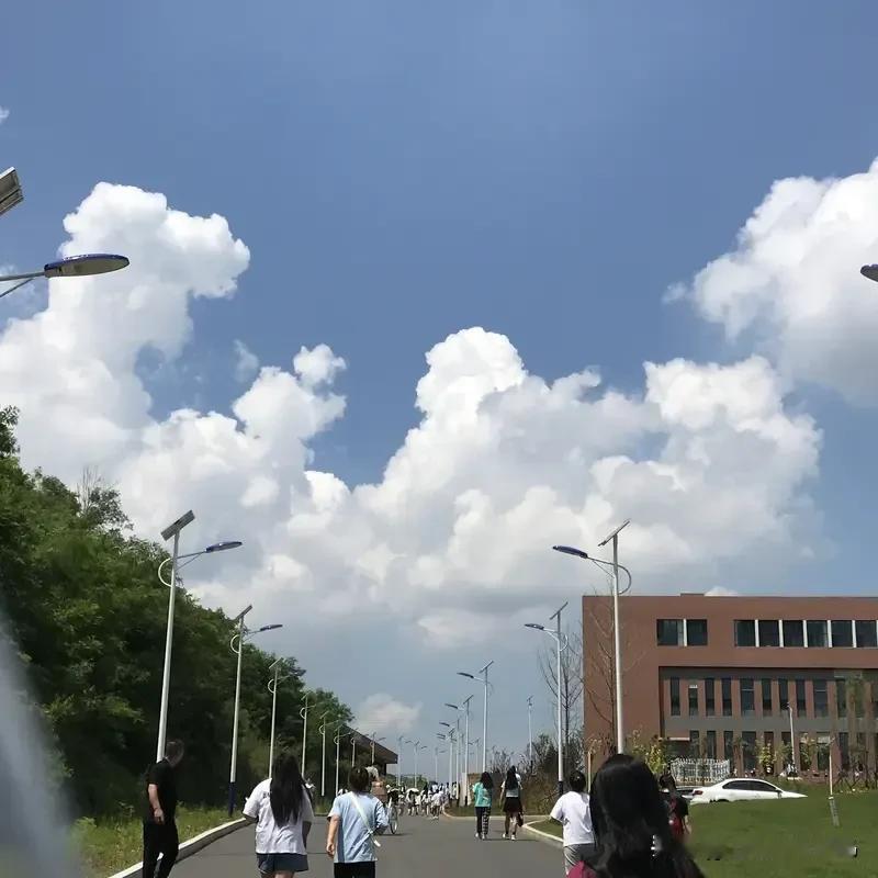 “二八”宛如一面奇妙的照妖镜，
那些潜藏于暗处的魑魅魍魉逐一现形。
那些为些许“