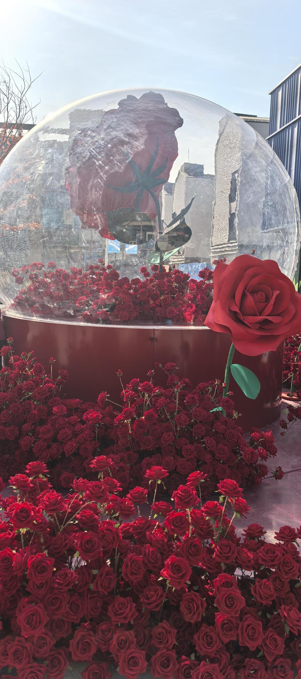 我爸人民教师，每月退休金 6500 元，我公公今年 63 岁，是一位农民，每月 