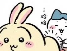 兔的臀部翘到可以顶起一瓶汽水